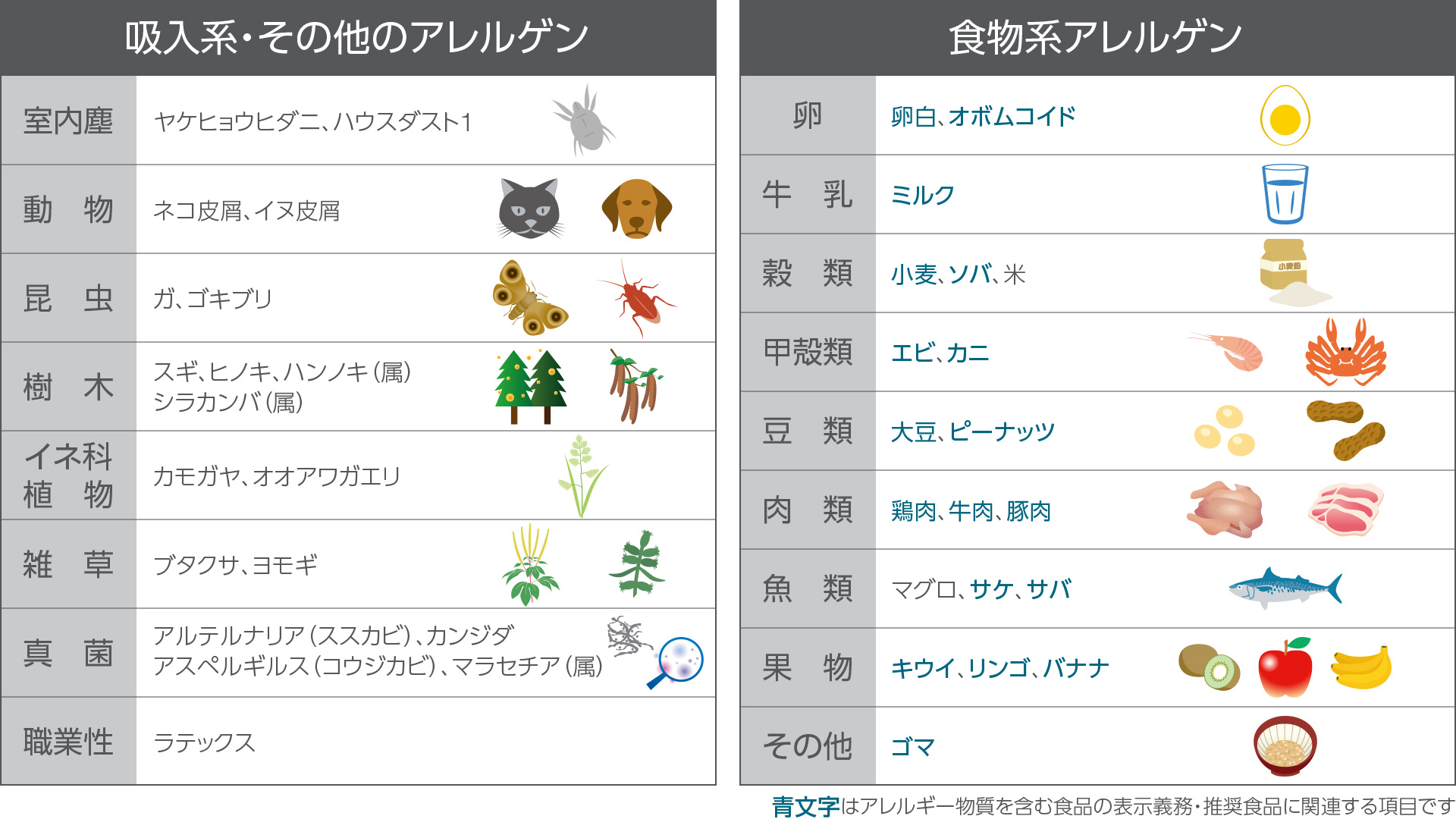 アレルギー